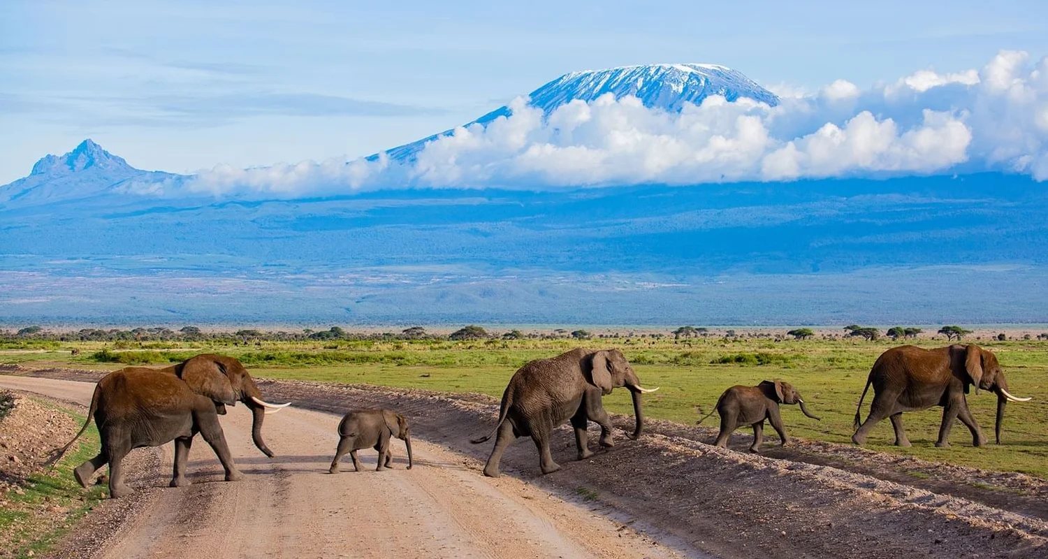 tanzania tour packages from india